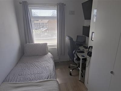 Picture 13